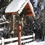 Hinterburgschwaig Hof * Sankt Johann im Pongau