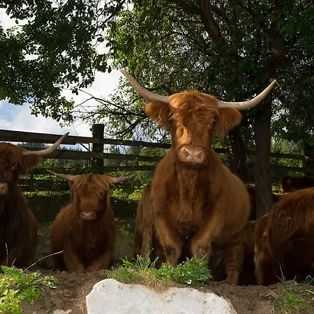 Apartment Hinterburgschwaig Hof *