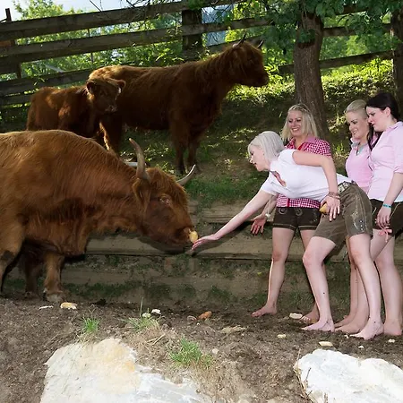 Hinterburgschwaig Hof *