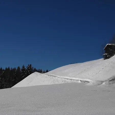 Hinterburgschwaig Hof Appartamento Sankt Johann im Pongau
