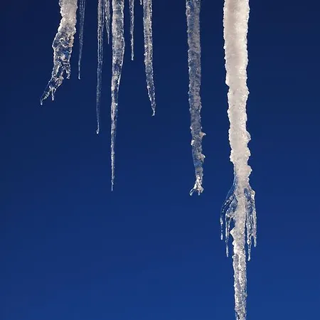 Apartment Hinterburgschwaig Hof