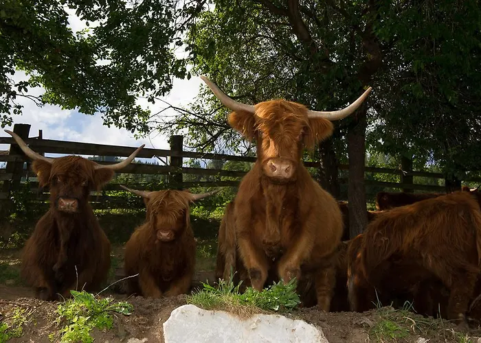 Apartament Hinterburgschwaig Hof *