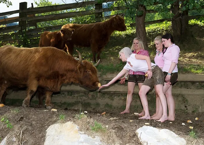 Hinterburgschwaig Hof *