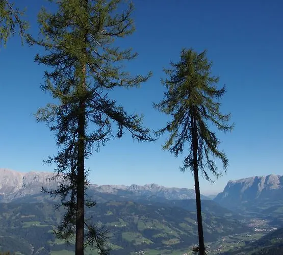 Hinterburgschwaig Hof